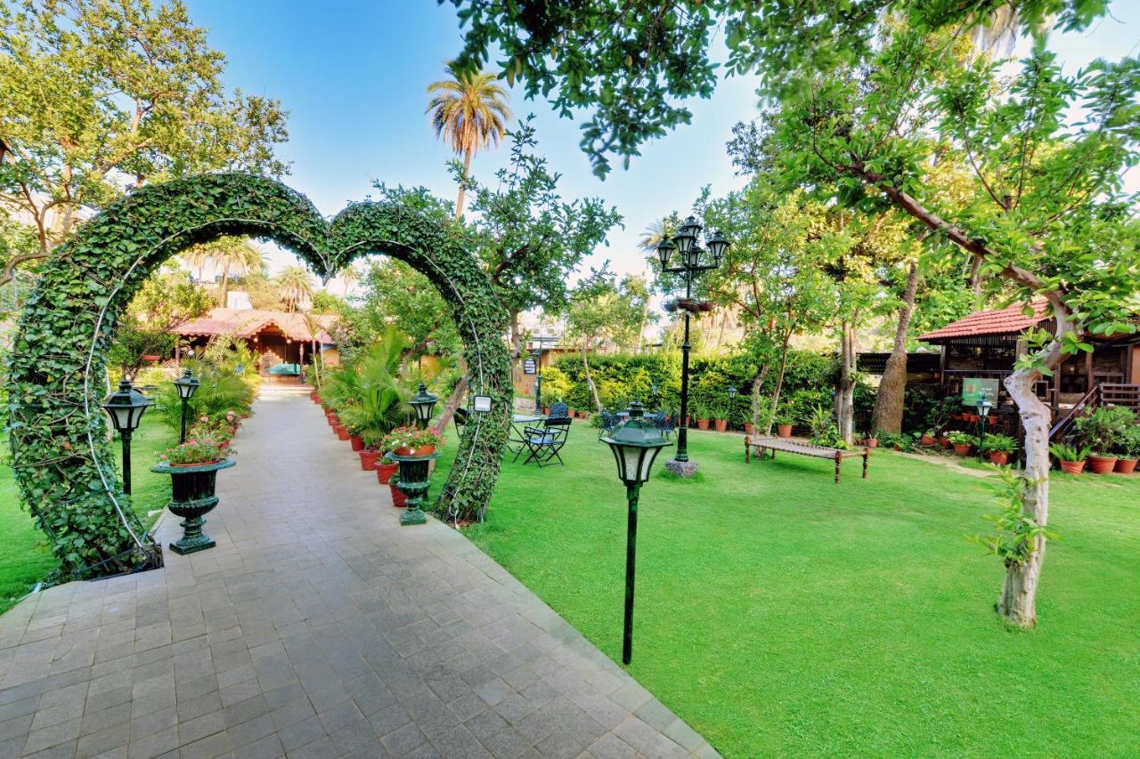 מאונט אבו Chacha Inn The Garden Retreat מראה חיצוני תמונה